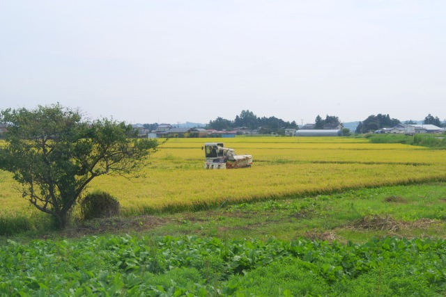 年間15万ｔＣＯ２削減 生物多様性保全にも効果 環境保全型農業直接支払